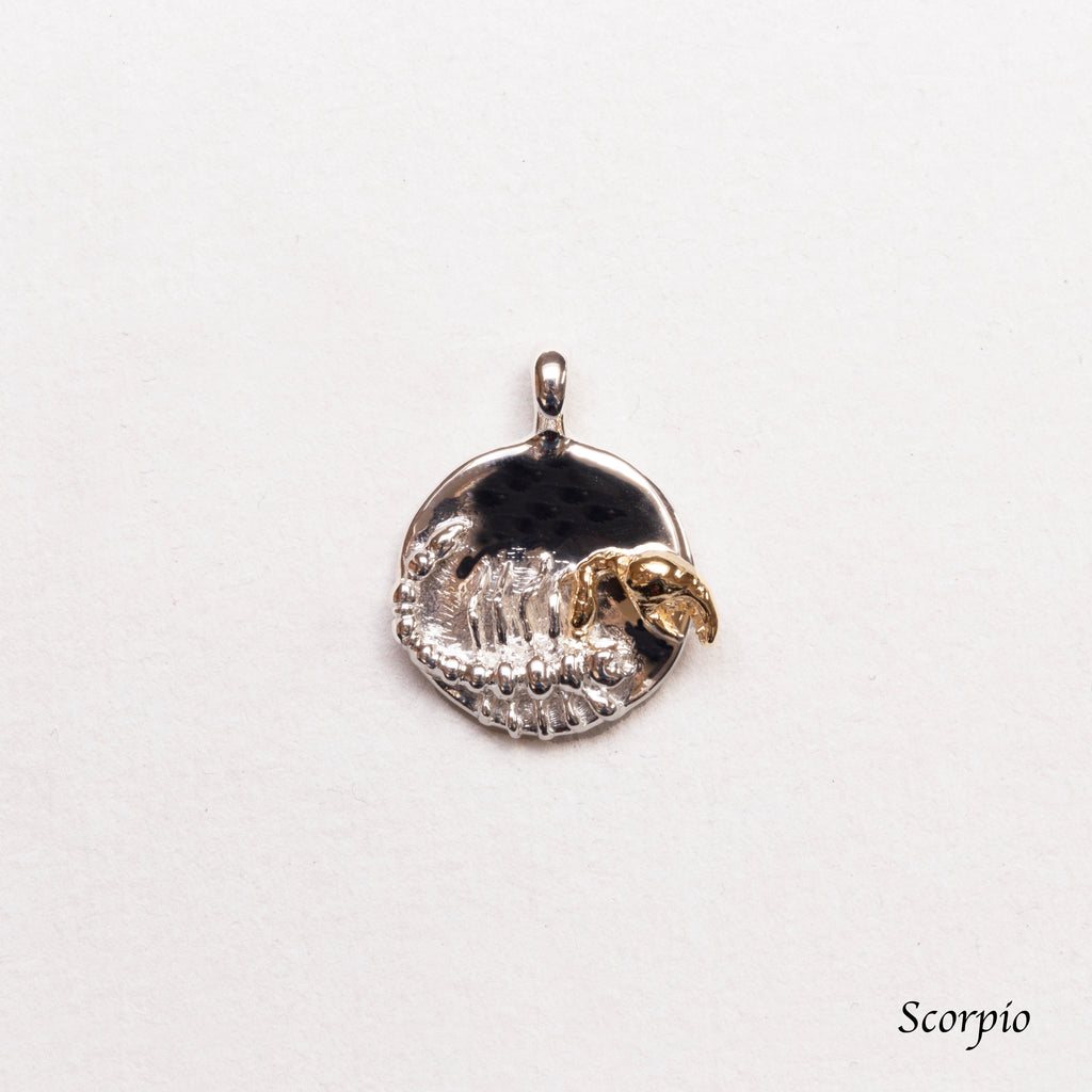 Sterling Silver Zodiac Pendant Charm Necklace