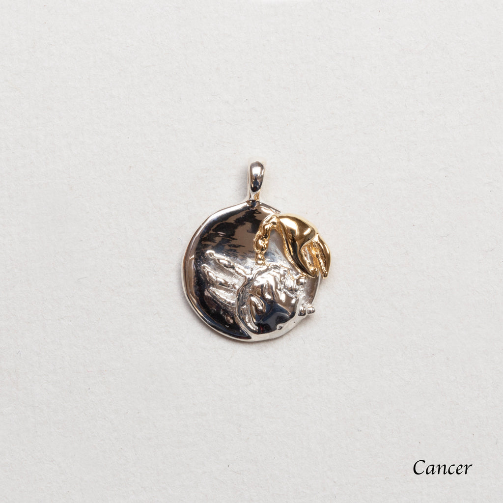 Sterling Silver Zodiac Pendant Charm Necklace