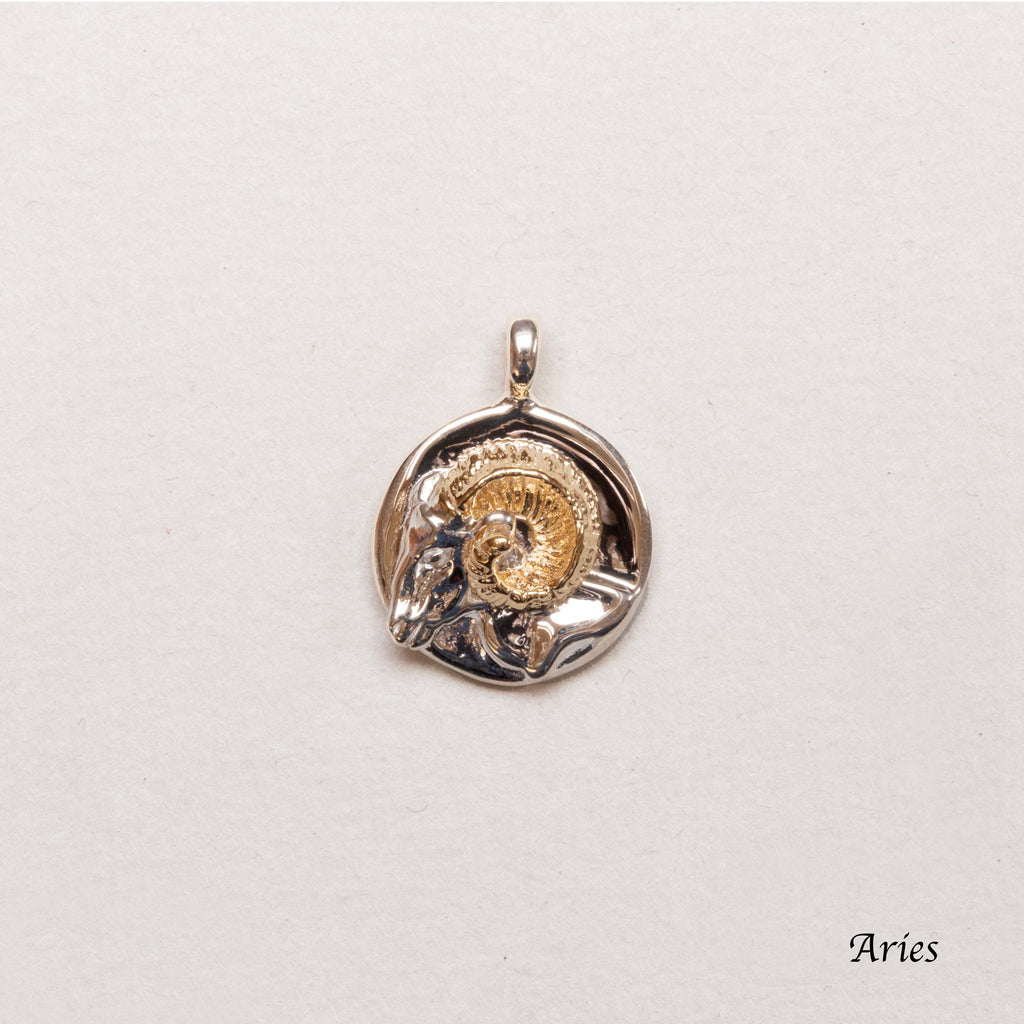 Sterling Silver Zodiac Pendant Charm Necklace