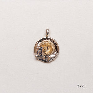 Sterling Silver Zodiac Pendant Charm Necklace