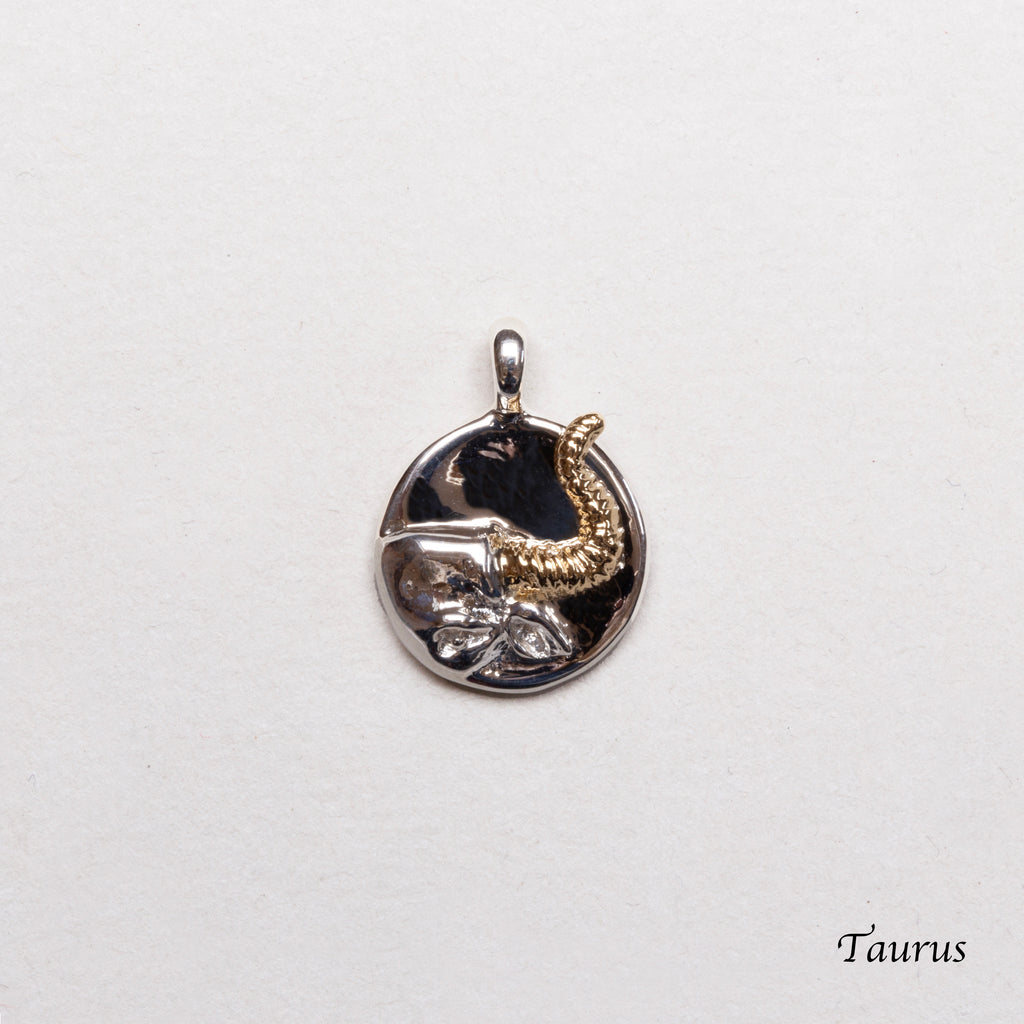 Sterling Silver Zodiac Pendant Charm Necklace