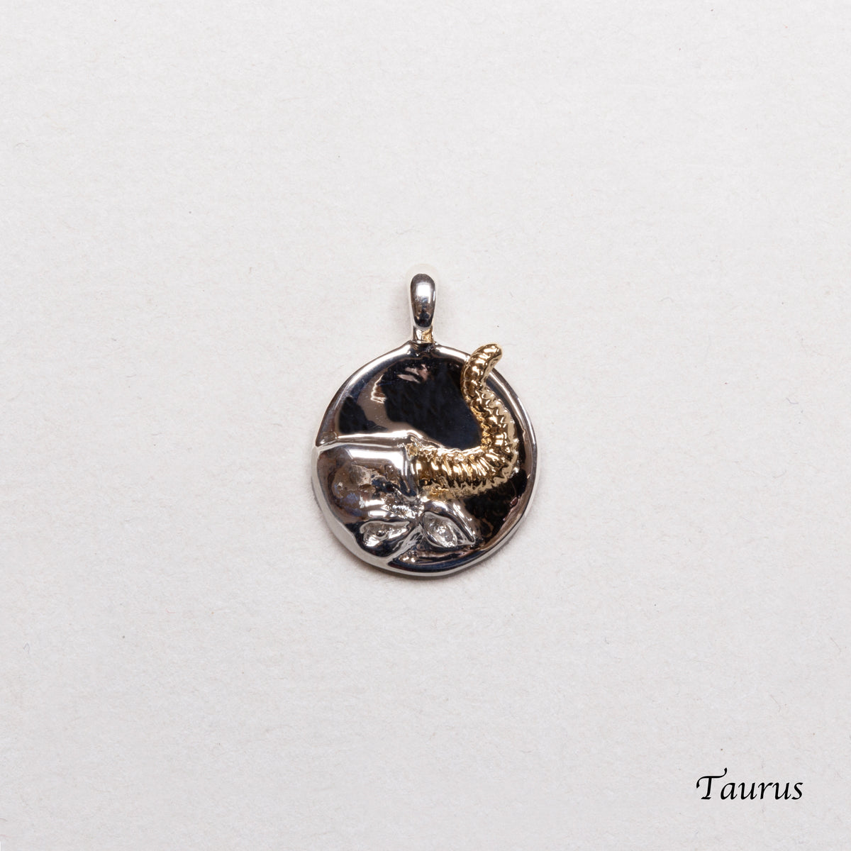 Sterling Silver Zodiac Pendant Charm Necklace