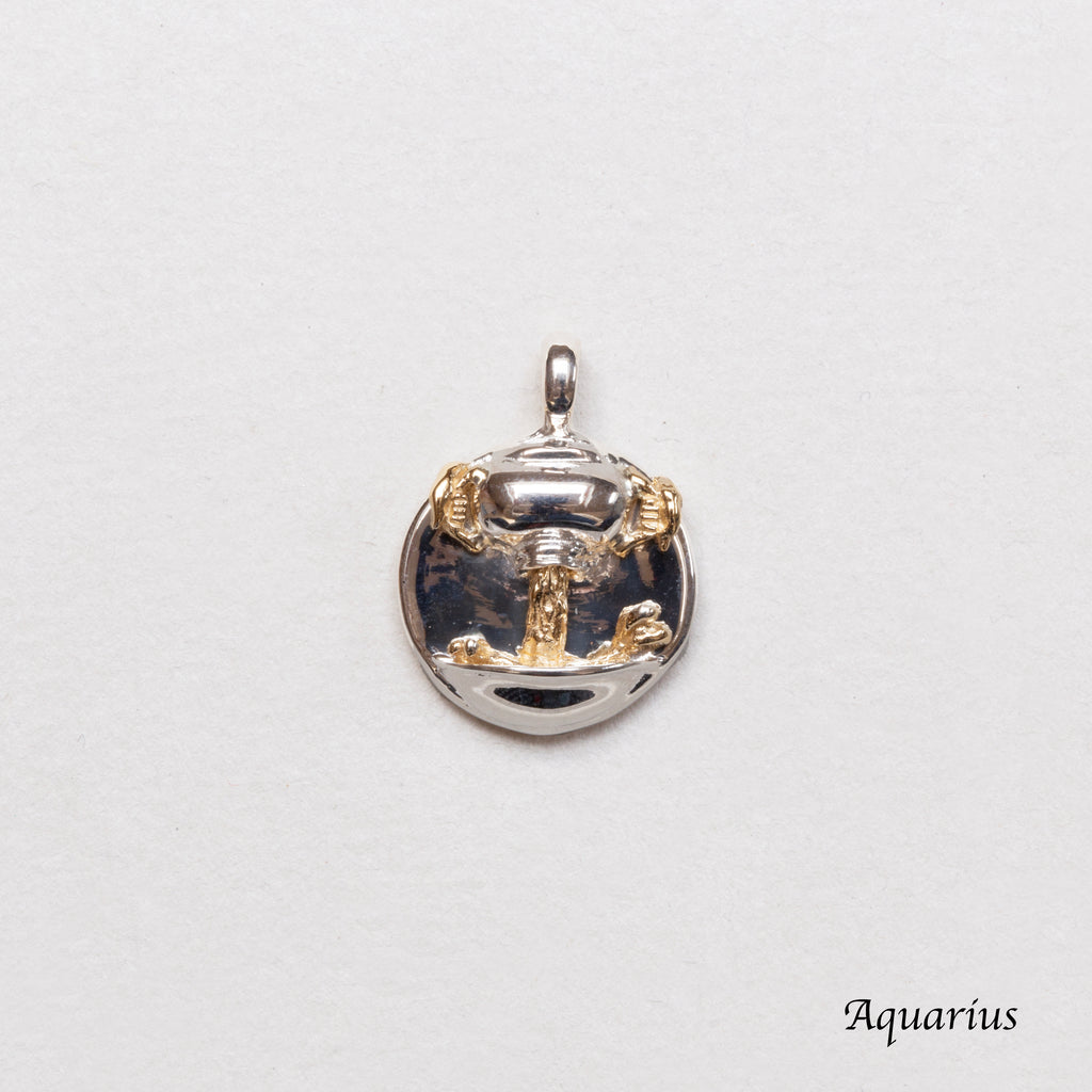 Sterling Silver Zodiac Pendant Charm Necklace