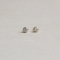 versatile real gold and crystal stud earrings 