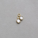the shapes of the charms will vary but they are paired so that they will match each other 
