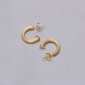 Gold Lined Stud Hoops